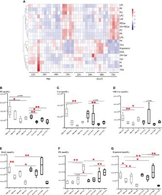 An Integrated Transcriptomics and Lipidomics Analysis Reveals That Ergosterol Is Required for Host Defense Against Bacterial Infection in Drosophila